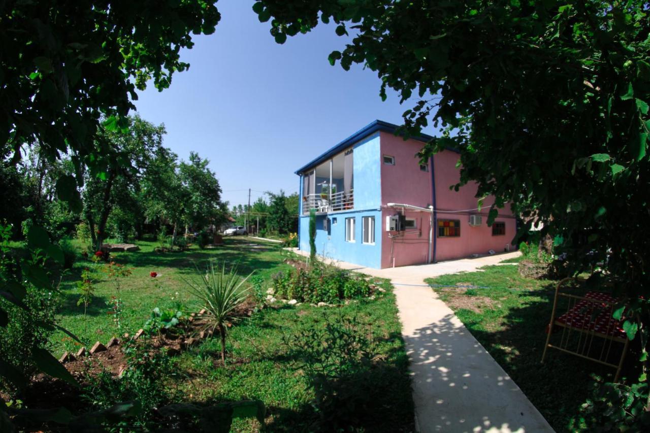 Novel House Apartment Мартвили Екстериор снимка